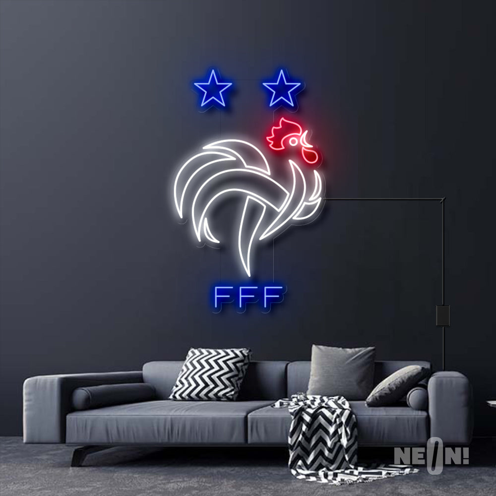 FRANCE FFF LOGO