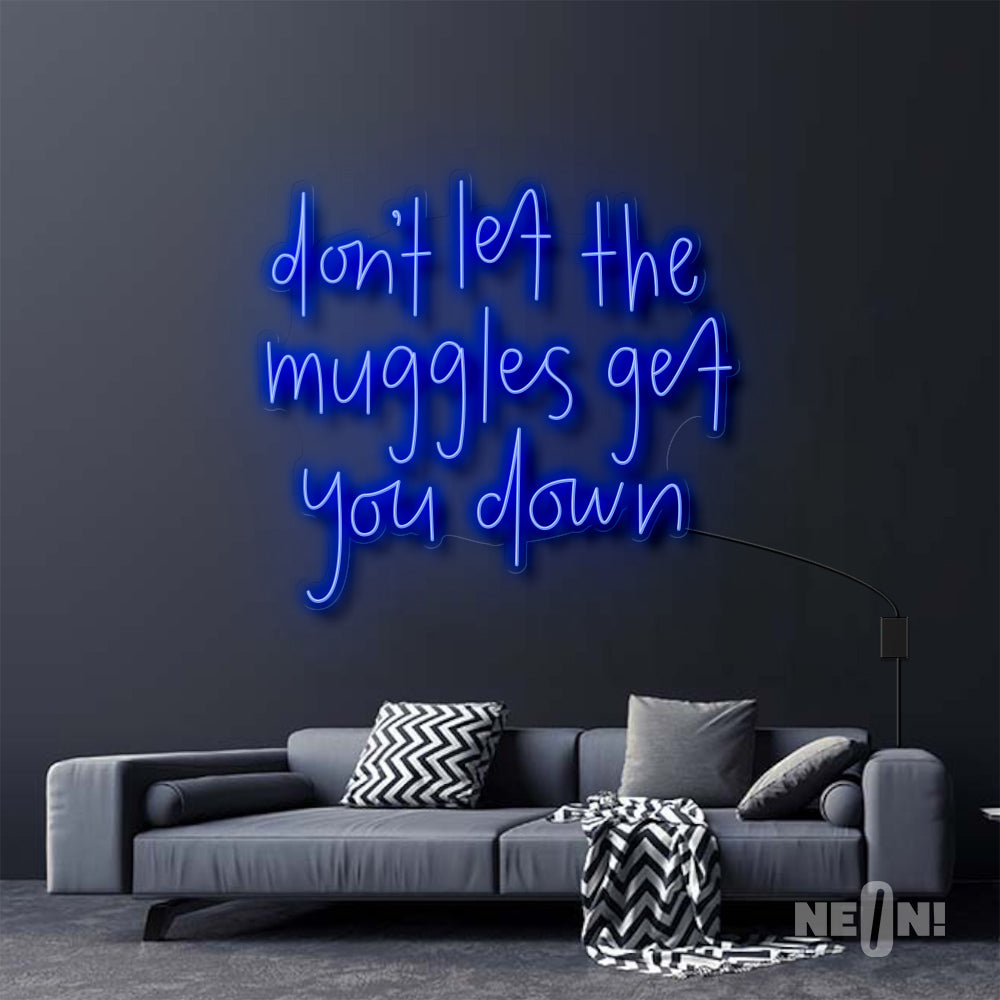 DON'T LET THE MUGGLES GET YOU DOWN - HARRY POTTER