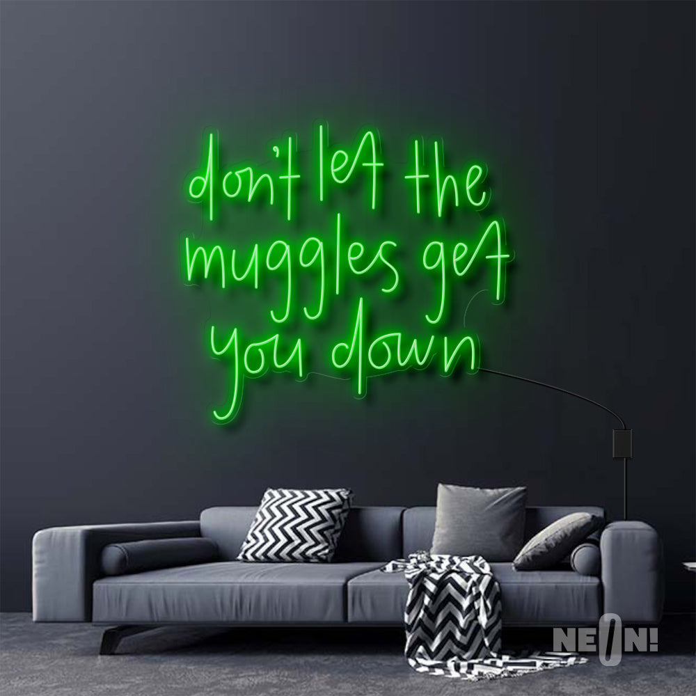DON'T LET THE MUGGLES GET YOU DOWN - HARRY POTTER