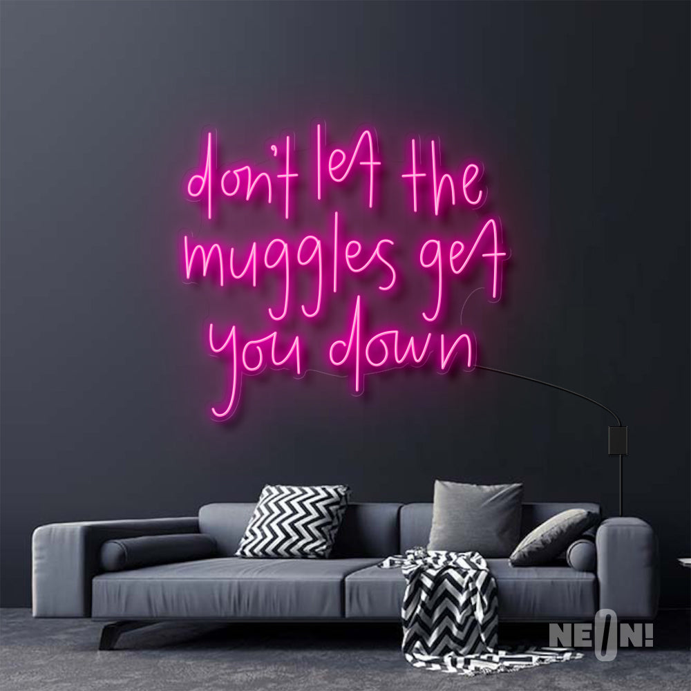DON'T LET THE MUGGLES GET YOU DOWN - HARRY POTTER