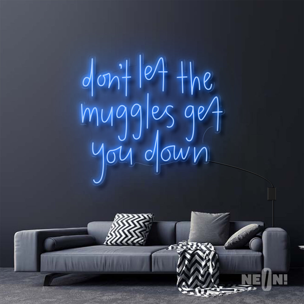 DON'T LET THE MUGGLES GET YOU DOWN - HARRY POTTER