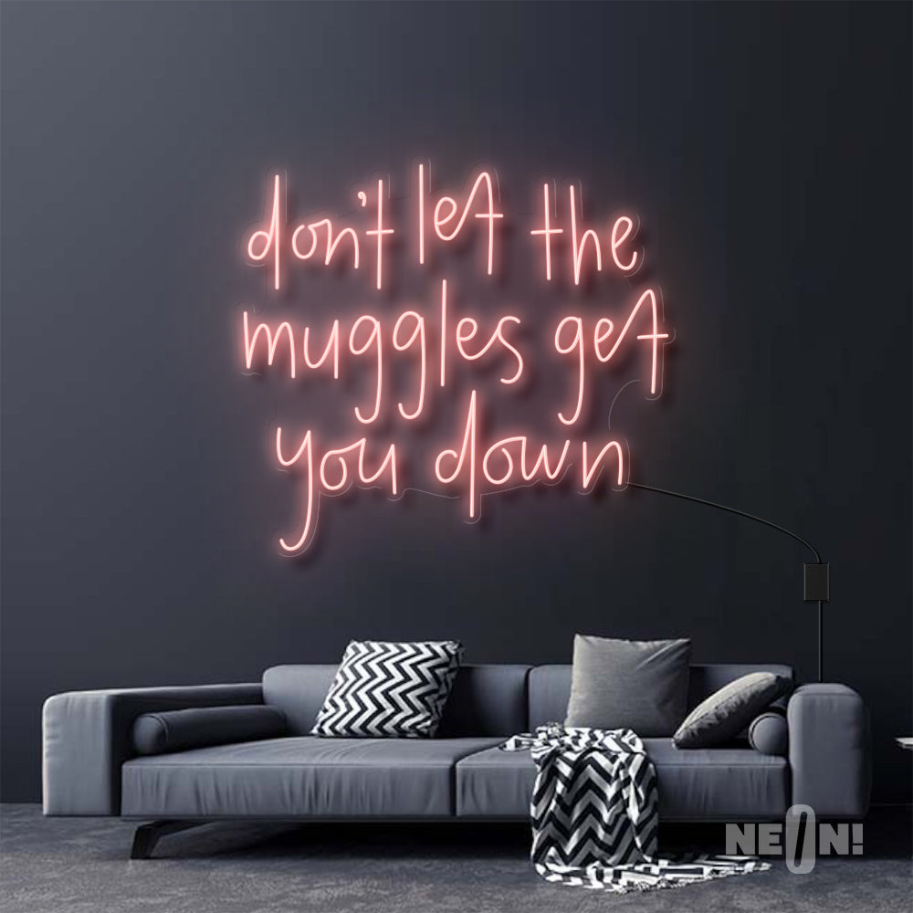 DON'T LET THE MUGGLES GET YOU DOWN - HARRY POTTER