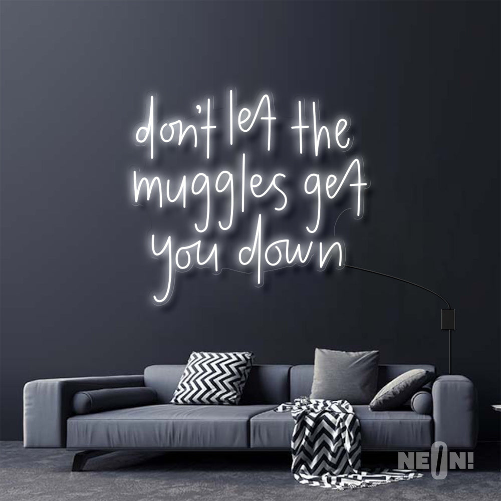 DON'T LET THE MUGGLES GET YOU DOWN - HARRY POTTER