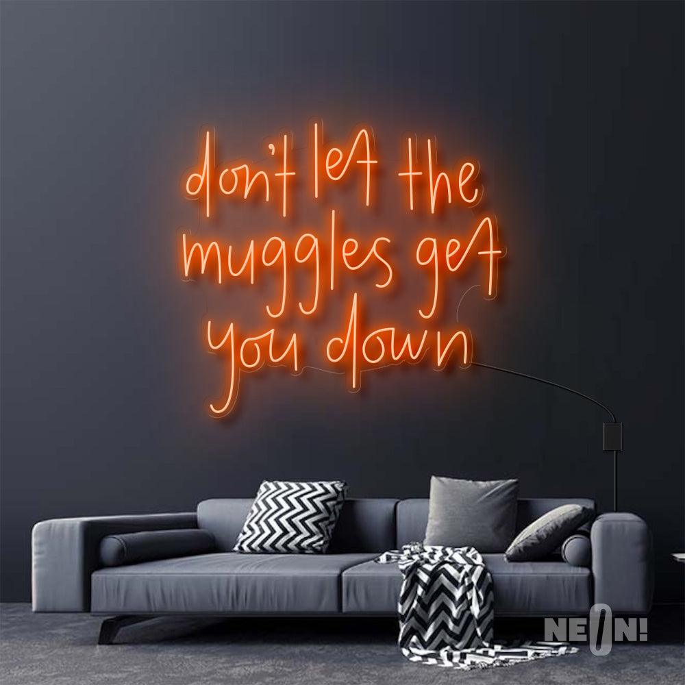 DON'T LET THE MUGGLES GET YOU DOWN - HARRY POTTER