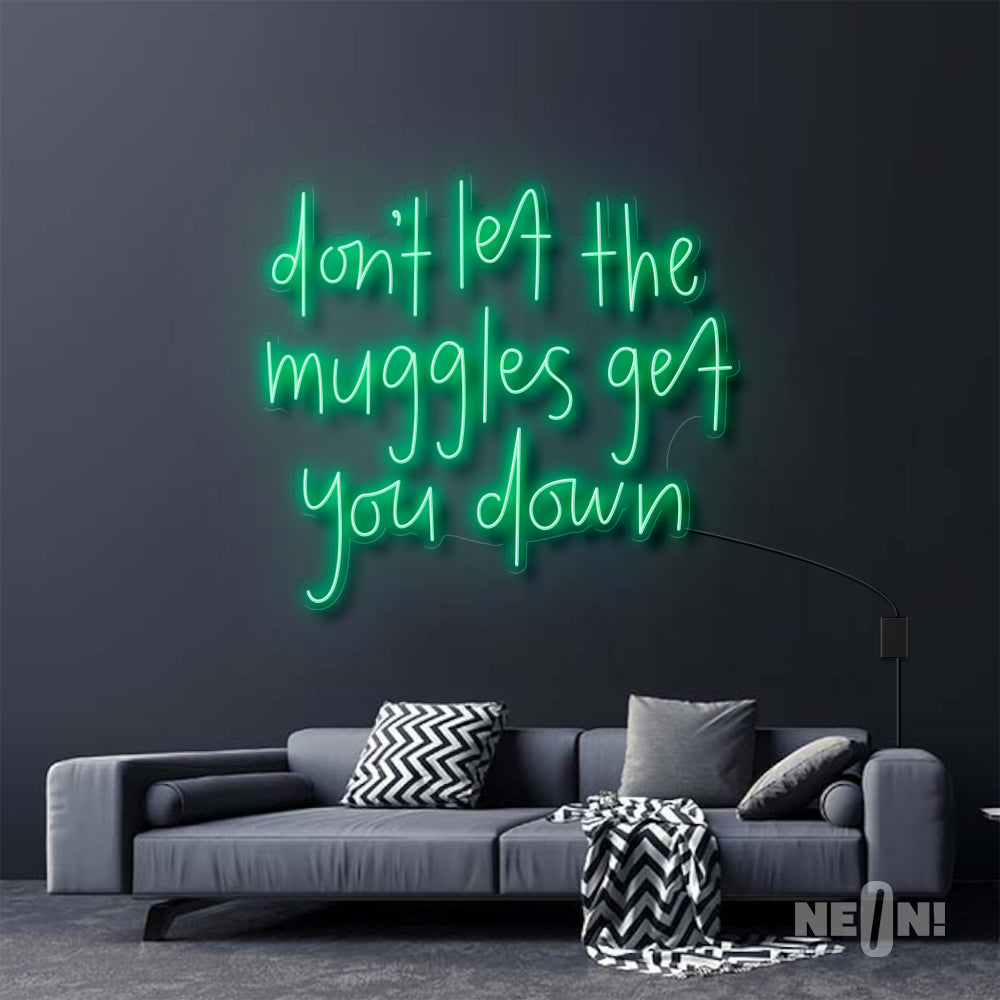 DON'T LET THE MUGGLES GET YOU DOWN - HARRY POTTER