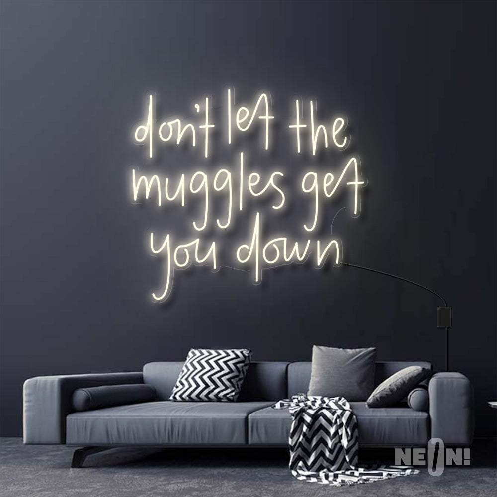 DON'T LET THE MUGGLES GET YOU DOWN - HARRY POTTER