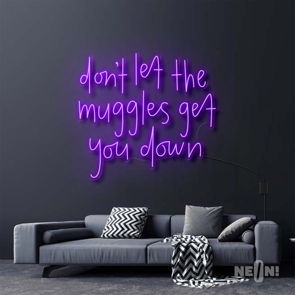 DON'T LET THE MUGGLES GET YOU DOWN - HARRY POTTER