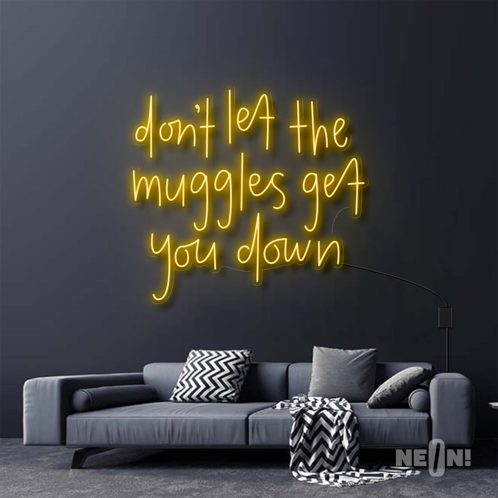 DON'T LET THE MUGGLES GET YOU DOWN - HARRY POTTER